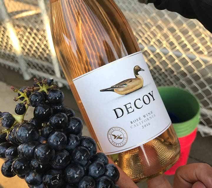 Syrah grapes and Decoy Rose