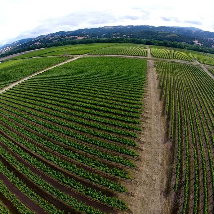 Aerial view of Brownell Vineyard in Alexander Valley