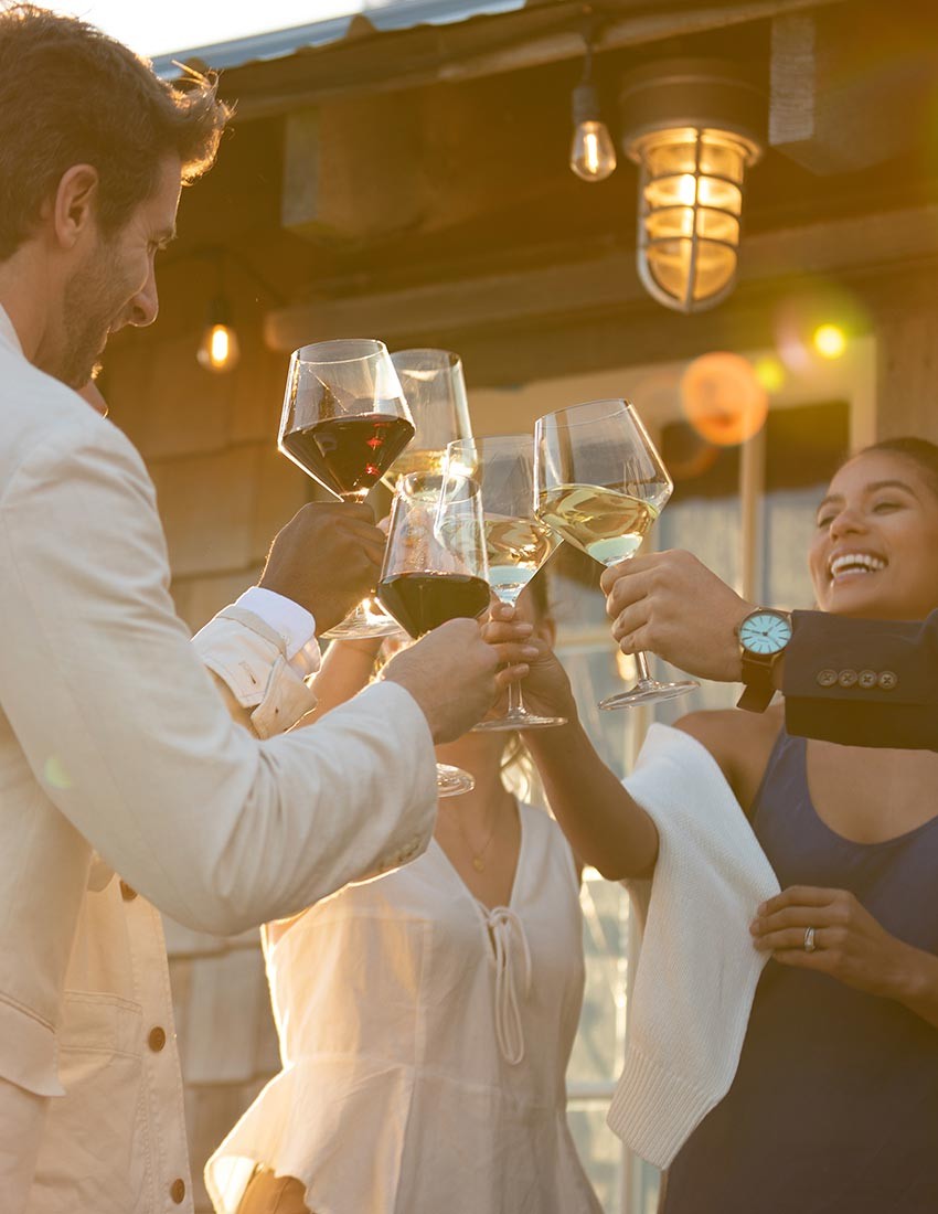 Group cheers with wine glasses