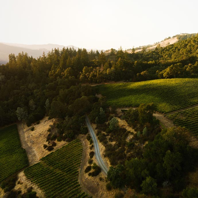 Decoy vineyards