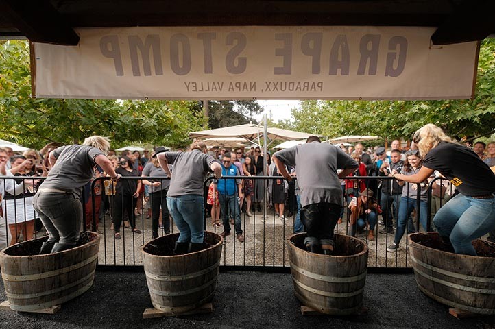 Paraduxx Annual Grape Stomp Competition