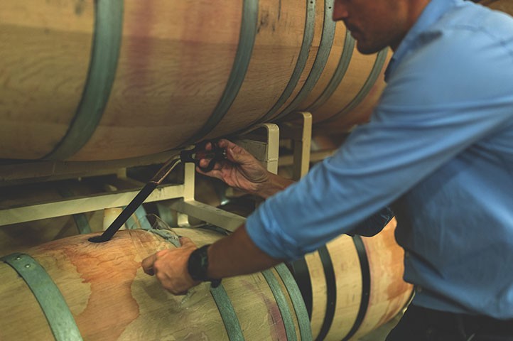 Winemaker doing a barrel tasting