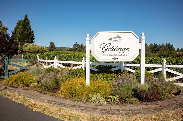 The Pinot Noir Experience